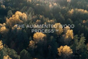 Augmented wood
